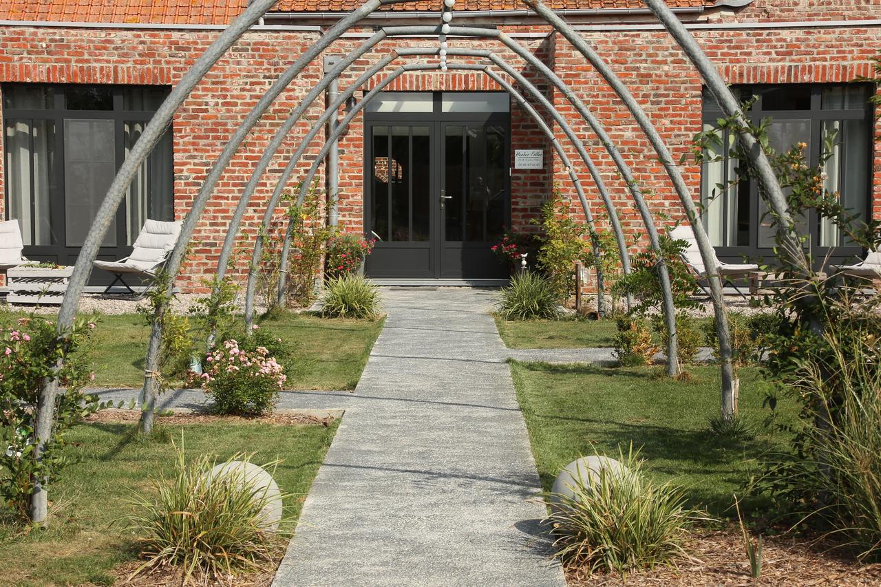Chambres D'Hotes Herbes Folles Steenwerck Exterior foto